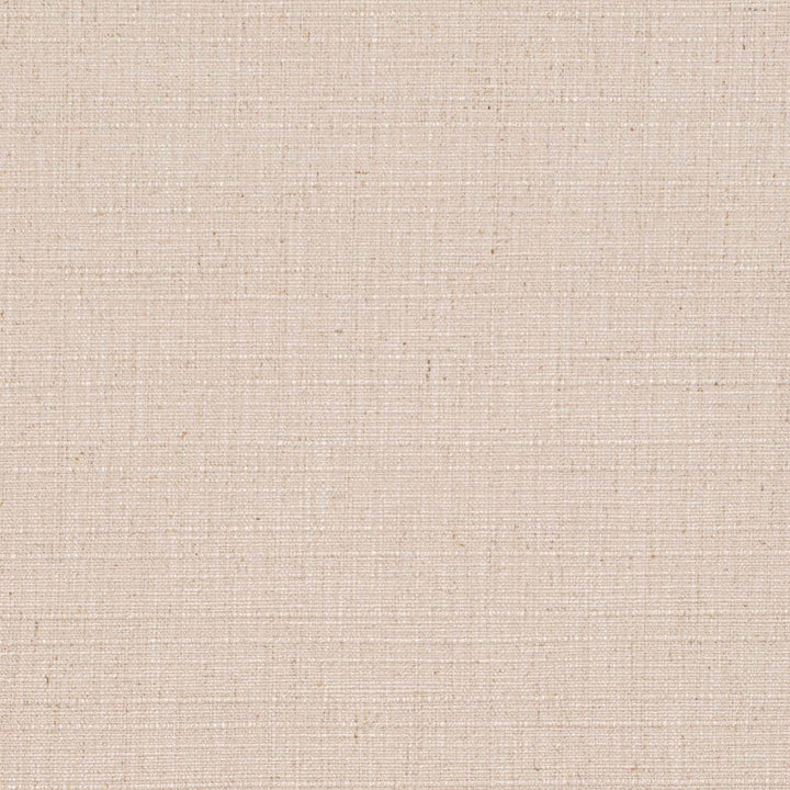 D3686 by Charlotte Designer Fabric Linen Looks 95% Polyester, 5% Linen Asia Exceeds 106,000 Wyzenbeek Rubs (Heavy Duty) No Repeat 54 Inches - Swanky Fabrics -