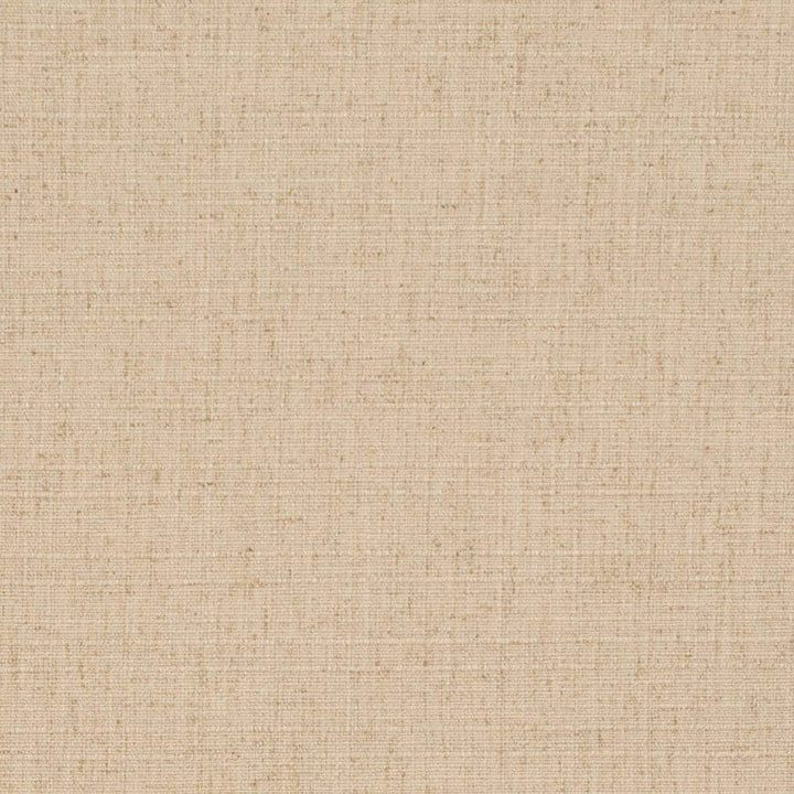D3688 by Charlotte Designer Fabric Linen Looks 95% Polyester, 5% Linen Asia Exceeds 106,000 Wyzenbeek Rubs (Heavy Duty) No Repeat 54 Inches - Swanky Fabrics -
