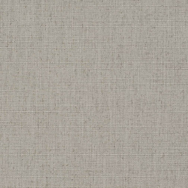 D3689 by Charlotte Designer Fabric Linen Looks 95% Polyester, 5% Linen Asia Exceeds 106,000 Wyzenbeek Rubs (Heavy Duty) No Repeat 54 Inches - Swanky Fabrics -