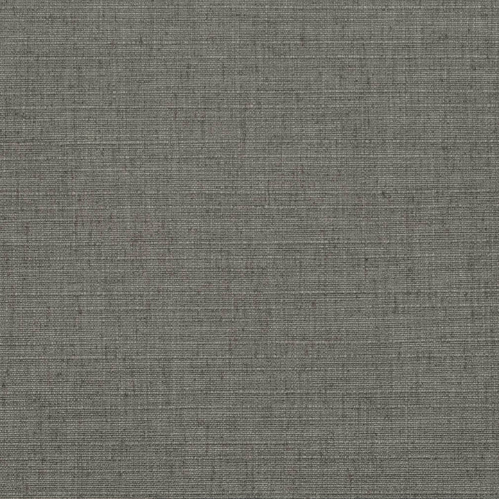 D3691 by Charlotte Designer Fabric Linen Looks 95% Polyester, 5% Linen Asia Exceeds 106,000 Wyzenbeek Rubs (Heavy Duty) No Repeat 54 Inches - Swanky Fabrics -