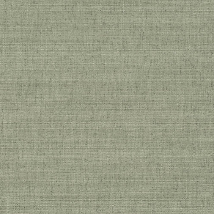 D3698 by Charlotte Designer Fabric Linen Looks 95% Polyester, 5% Linen Asia Exceeds 106,000 Wyzenbeek Rubs (Heavy Duty) No Repeat 54 Inches - Swanky Fabrics -