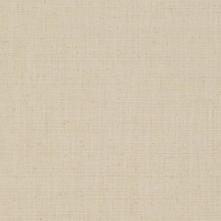 D3704 by Charlotte Designer Fabric Linen Looks 95% Polyester, 5% Linen Asia Exceeds 106,000 Wyzenbeek Rubs (Heavy Duty) No Repeat 54 Inches - Swanky Fabrics -