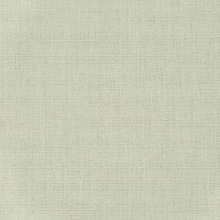 D3709 by Charlotte Designer Fabric Linen Looks 95% Polyester, 5% Linen Asia Exceeds 106,000 Wyzenbeek Rubs (Heavy Duty) No Repeat 54 Inches - Swanky Fabrics -