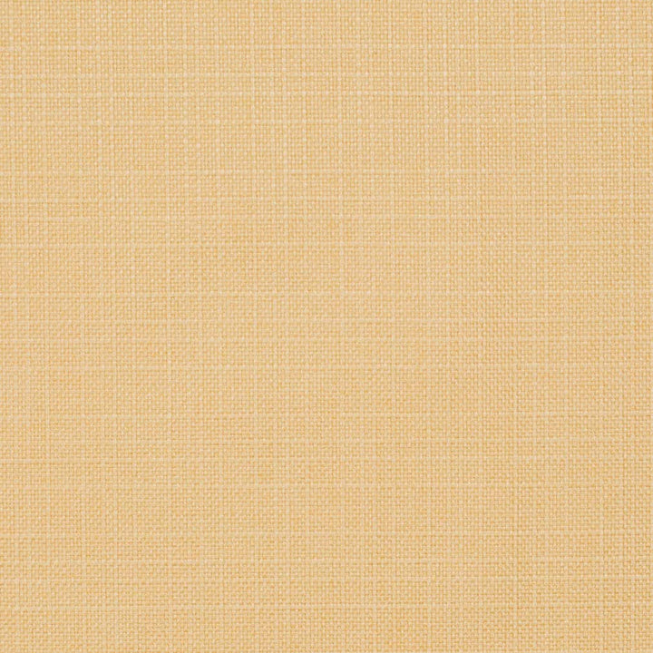 D3715 by Charlotte Designer Fabric Linen Looks 100% Polyester Asia Exceeds 120,000 Wyzenbeek Rubs (Heavy Duty) No Repeat 54 Inches - Swanky Fabrics -
