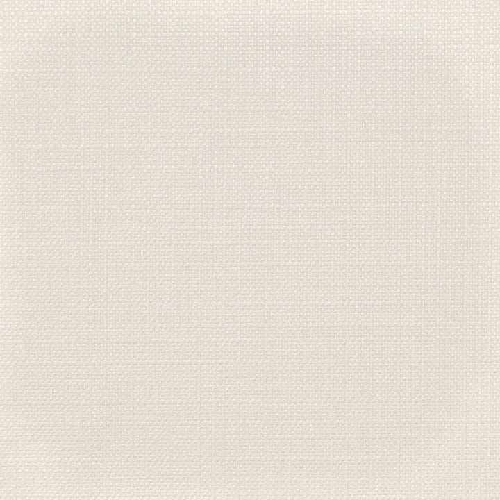 D3720 by Charlotte Designer Fabric Linen Looks 100% Polyester Asia Exceeds 120,000 Wyzenbeek Rubs (Heavy Duty) No Repeat 54 Inches - Swanky Fabrics -