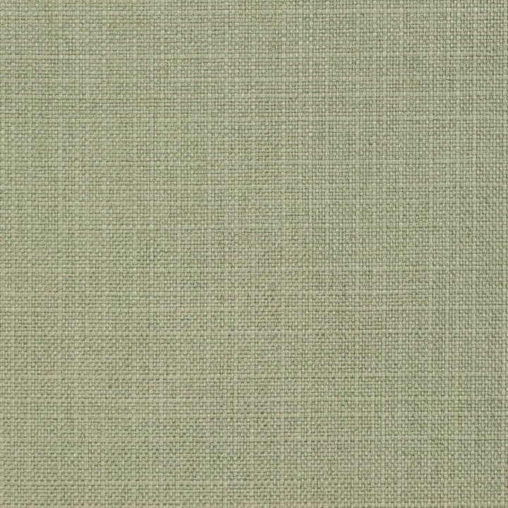 D3738 by Charlotte Designer Fabric Linen Looks 100% Polyester Asia Exceeds 120,000 Wyzenbeek Rubs (Heavy Duty) No Repeat 54 Inches - Swanky Fabrics -
