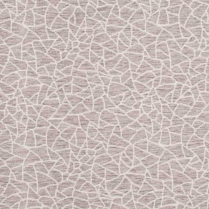 D3751 by Charlotte Designer Fabric Untamed Textures 72% Olefin, 28% Polyester USA Exceeds 60,000 Wyzenbeek Rubs (Heavy Duty) Horizontal 14" x Vertical 12.5" 54 Inches - Swanky Fabrics -