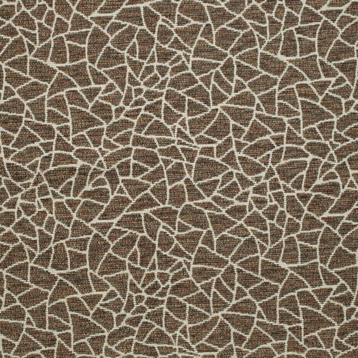 D3752 by Charlotte Designer Fabric Untamed Textures 72% Olefin, 28% Polyester USA Exceeds 60,000 Wyzenbeek Rubs (Heavy Duty) Horizontal 14" x Vertical 12.5" 54 Inches - Swanky Fabrics -