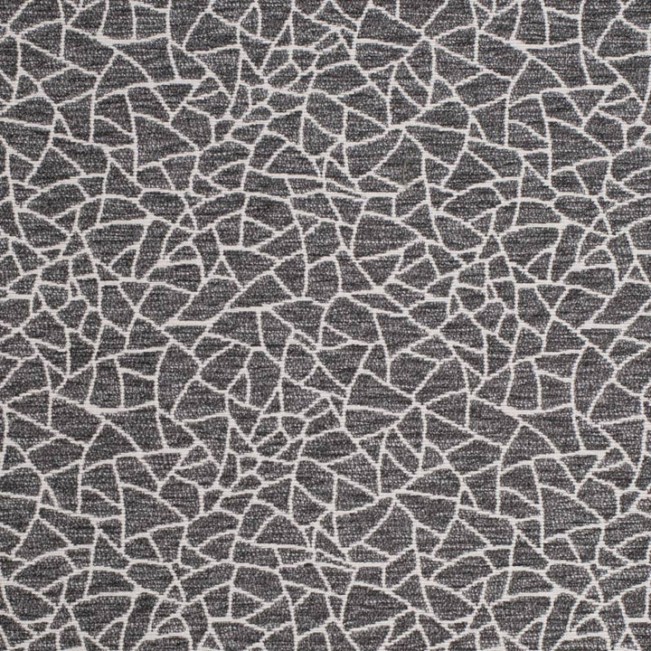 D3753 by Charlotte Designer Fabric Untamed Textures 72% Olefin, 28% Polyester USA Exceeds 60,000 Wyzenbeek Rubs (Heavy Duty) Horizontal 14" x Vertical 12.5" 54 Inches - Swanky Fabrics -