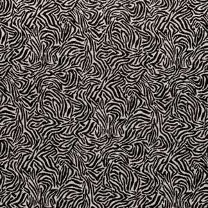 Charlotte Fabric D3770