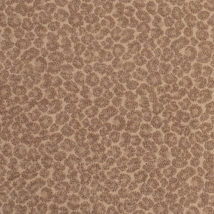 D3775 by Charlotte Designer Fabric Untamed Textures 78% Polyester, 22% Cotton Asia Exceeds 120,000 Wyzenbeek Rubs (Heavy Duty) No Repeat 54 Inches - Swanky Fabrics -