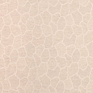 Charlotte Fabric D3783