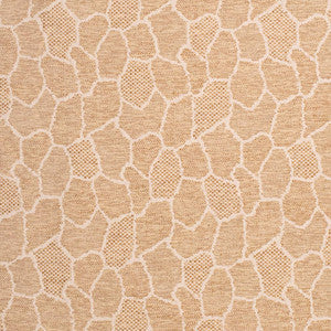 Charlotte Fabric D3784