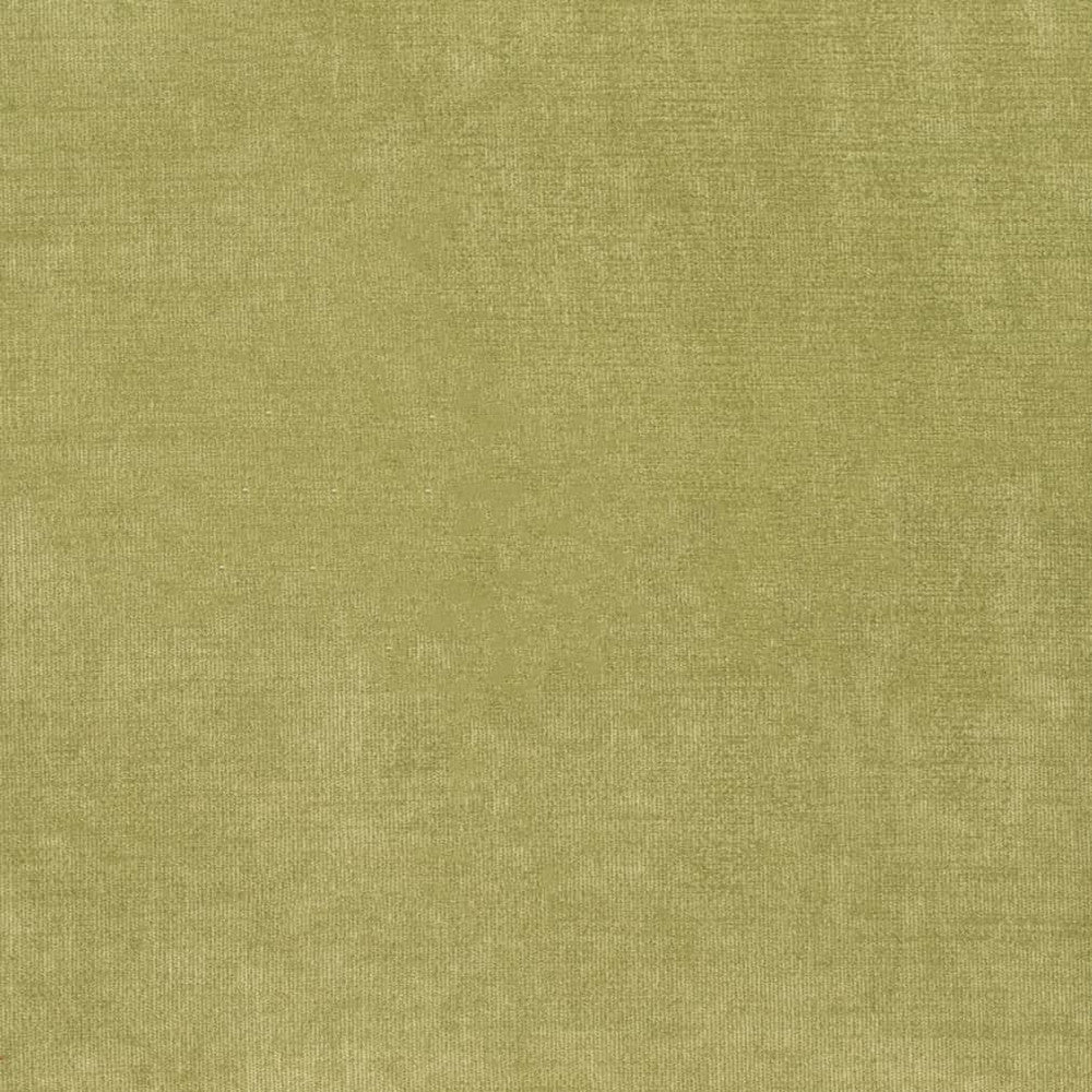 D3816 by Charlotte Designer Fabric Classic Velvet II 90% Polyester, 10% Nylon Asia Exceeds 240,000 Wyzenbeek Rubs (Heavy Duty) No Repeat 54 Inches - Swanky Fabrics -
