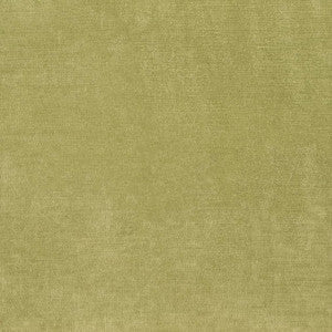 Charlotte Fabric D3816