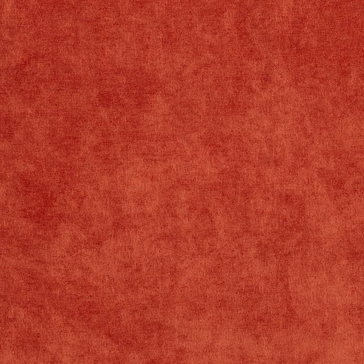 D3819 by Charlotte Designer Fabric Classic Velvet II 90% Polyester, 10% Nylon Asia Exceeds 240,000 Wyzenbeek Rubs (Heavy Duty) No Repeat 54 Inches - Swanky Fabrics -