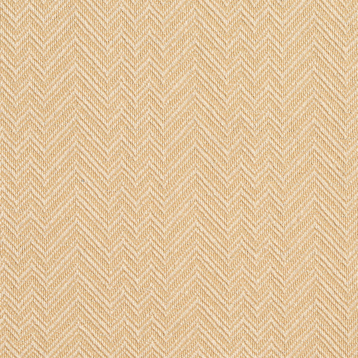 D381 Straw by Charlotte Designer Fabric Crypton Volume 2 100% Woven Polyester Made In USA Exceeds 102,000 Wyzenbeek Rubs (Heavy Duty) Horizontal: 2.5" x Vertical: .5" 54 Inches - Swanky Fabrics -