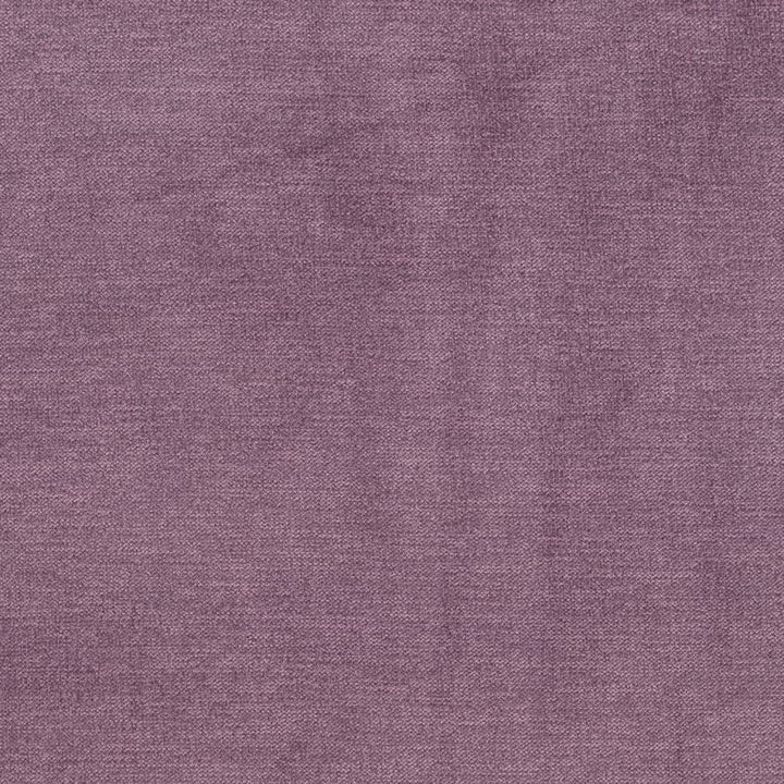 D3827 by Charlotte Designer Fabric Classic Velvet II 90% Polyester, 10% Nylon Asia Exceeds 240,000 Wyzenbeek Rubs (Heavy Duty) No Repeat 54 Inches - Swanky Fabrics -