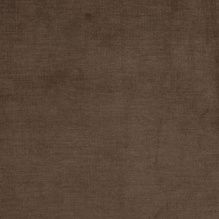 D3832 by Charlotte Designer Fabric Classic Velvet II 90% Polyester, 10% Nylon Asia Exceeds 240,000 Wyzenbeek Rubs (Heavy Duty) No Repeat 54 Inches - Swanky Fabrics -