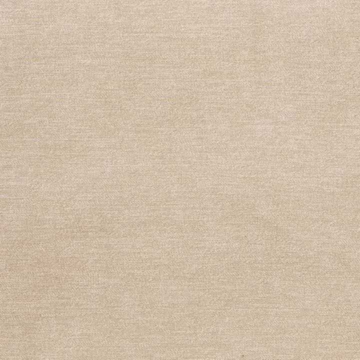 D3835 by Charlotte Designer Fabric Classic Velvet II 90% Polyester, 10% Nylon Asia Exceeds 240,000 Wyzenbeek Rubs (Heavy Duty) No Repeat 54 Inches - Swanky Fabrics -