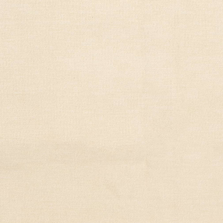 D3839 by Charlotte Designer Fabric Classic Velvet II 90% Polyester, 10% Nylon Asia Exceeds 240,000 Wyzenbeek Rubs (Heavy Duty) No Repeat 54 Inches - Swanky Fabrics -