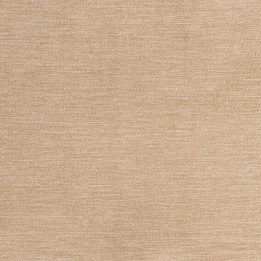 D3840 by Charlotte Designer Fabric Classic Velvet II 90% Polyester, 10% Nylon Asia Exceeds 240,000 Wyzenbeek Rubs (Heavy Duty) No Repeat 54 Inches - Swanky Fabrics -