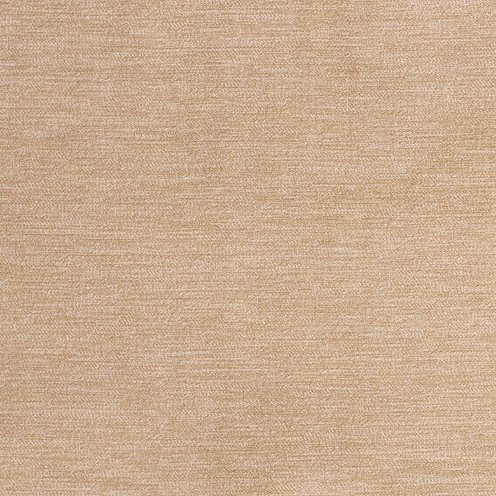 D3840 by Charlotte Designer Fabric Classic Velvet II 90% Polyester, 10% Nylon Asia Exceeds 240,000 Wyzenbeek Rubs (Heavy Duty) No Repeat 54 Inches - Swanky Fabrics -