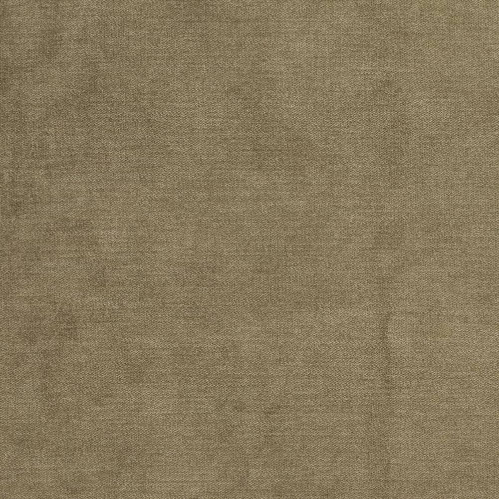 D3844 by Charlotte Designer Fabric Classic Velvet II 90% Polyester, 10% Nylon Asia Exceeds 240,000 Wyzenbeek Rubs (Heavy Duty) No Repeat 54 Inches - Swanky Fabrics -