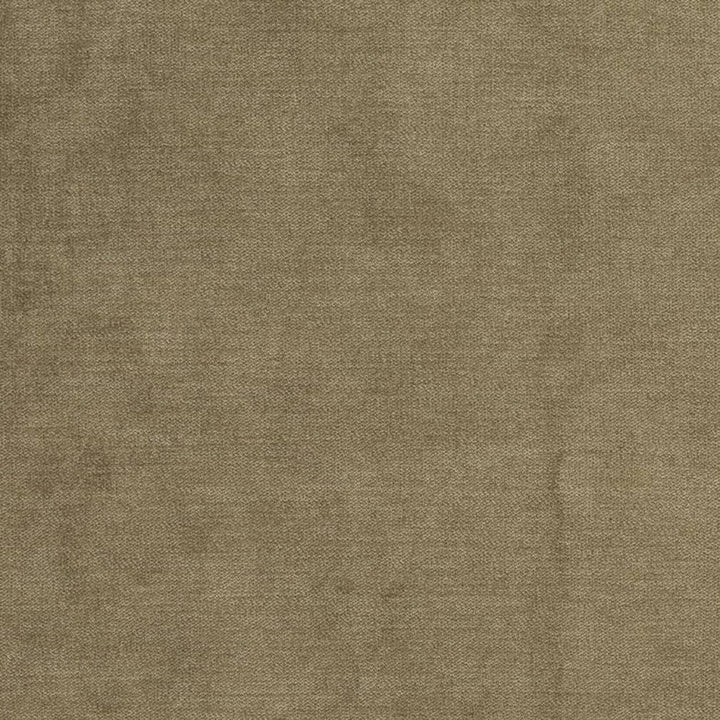D3844 by Charlotte Designer Fabric Classic Velvet II 90% Polyester, 10% Nylon Asia Exceeds 240,000 Wyzenbeek Rubs (Heavy Duty) No Repeat 54 Inches - Swanky Fabrics -