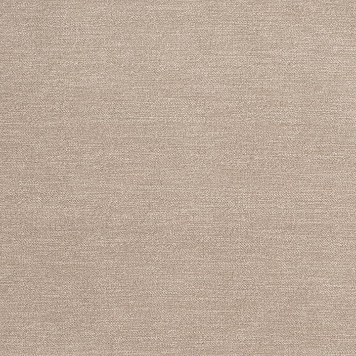 D3845 by Charlotte Designer Fabric Classic Velvet II 90% Polyester, 10% Nylon Asia Exceeds 240,000 Wyzenbeek Rubs (Heavy Duty) No Repeat 54 Inches - Swanky Fabrics -