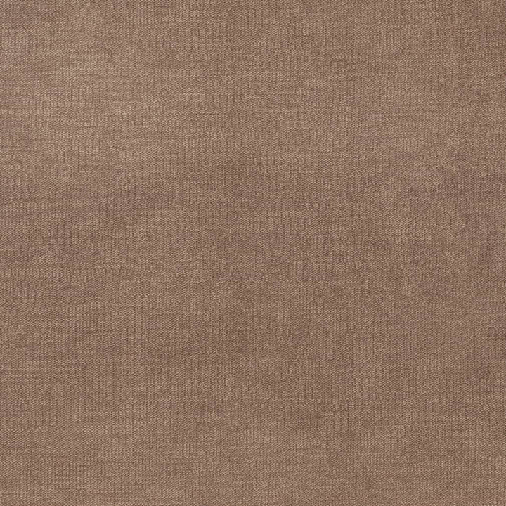 D3847 by Charlotte Designer Fabric Classic Velvet II 90% Polyester, 10% Nylon Asia Exceeds 240,000 Wyzenbeek Rubs (Heavy Duty) No Repeat 54 Inches - Swanky Fabrics -