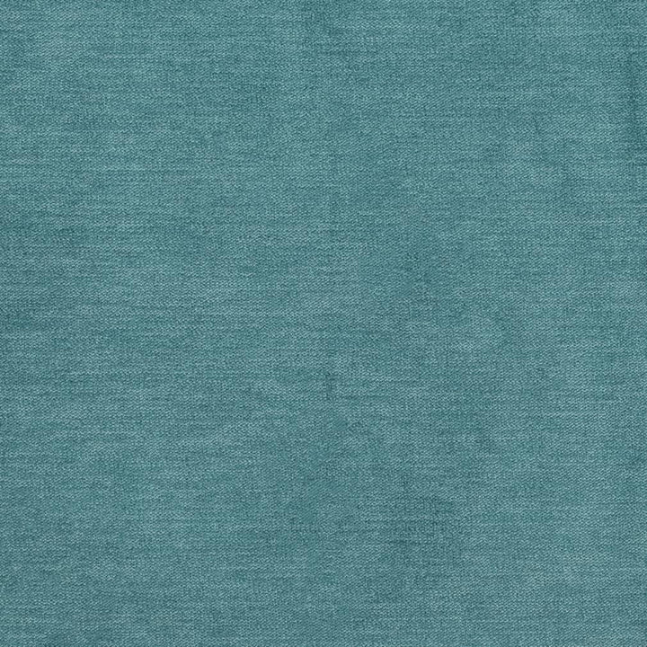 D3848 by Charlotte Designer Fabric Classic Velvet II 90% Polyester, 10% Nylon Asia Exceeds 240,000 Wyzenbeek Rubs (Heavy Duty) No Repeat 54 Inches - Swanky Fabrics -