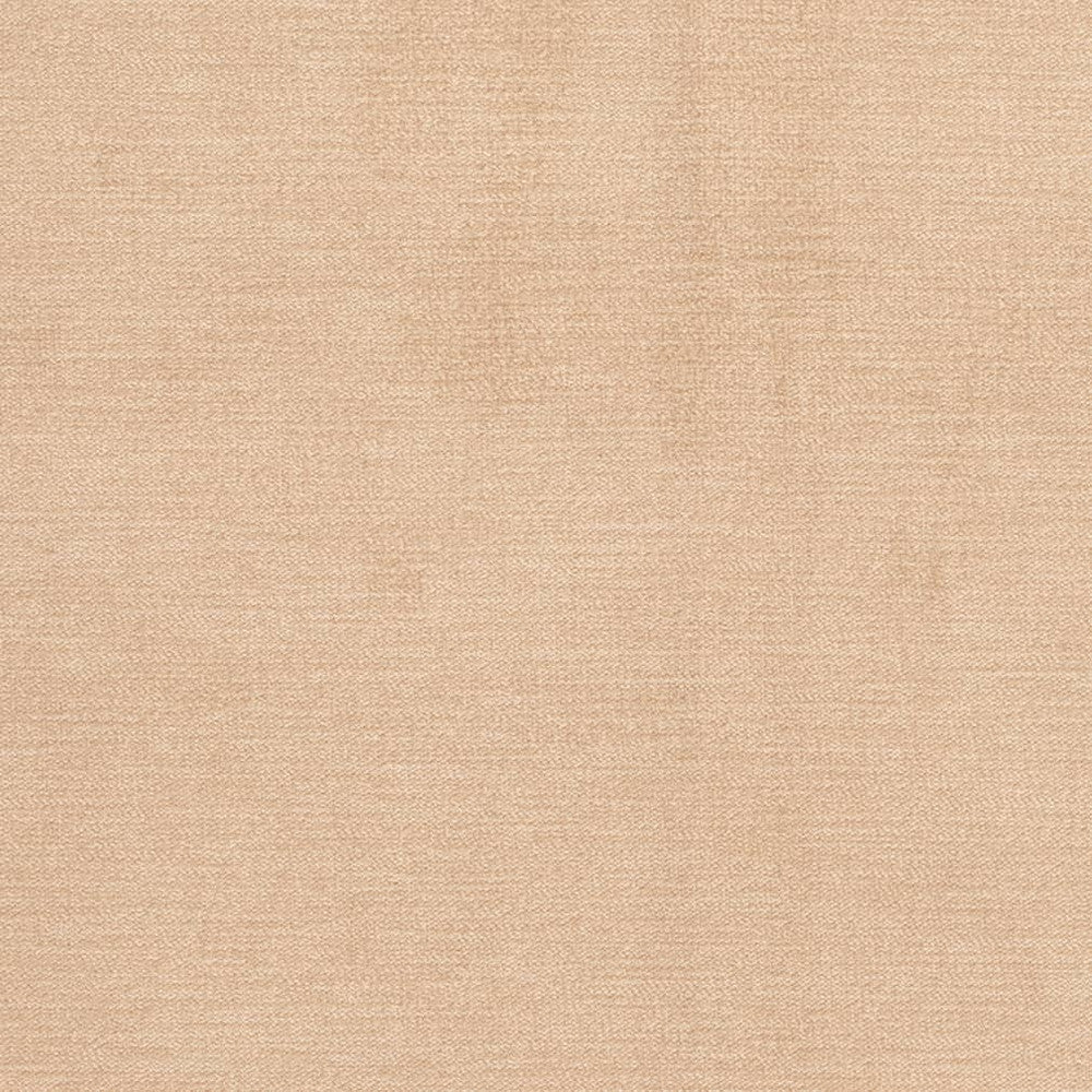 D3851 by Charlotte Designer Fabric Classic Velvet II 90% Polyester, 10% Nylon Asia Exceeds 240,000 Wyzenbeek Rubs (Heavy Duty) No Repeat 54 Inches - Swanky Fabrics -