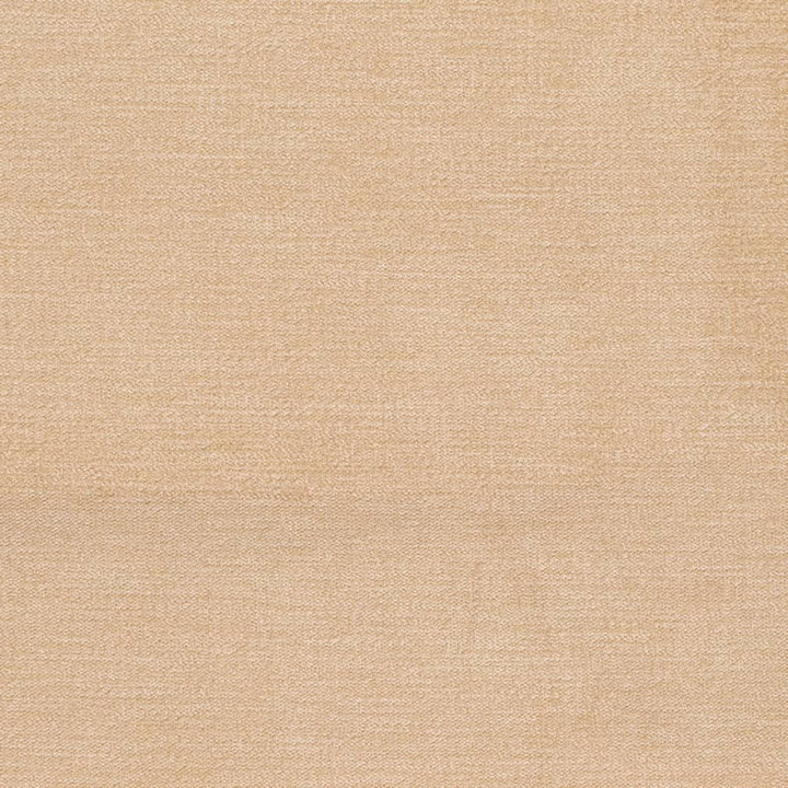 D3853 by Charlotte Designer Fabric Classic Velvet II 90% Polyester, 10% Nylon Asia Exceeds 240,000 Wyzenbeek Rubs (Heavy Duty) No Repeat 54 Inches - Swanky Fabrics -