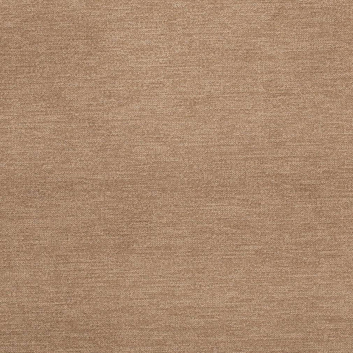 D3857 by Charlotte Designer Fabric Classic Velvet II 90% Polyester, 10% Nylon Asia Exceeds 240,000 Wyzenbeek Rubs (Heavy Duty) No Repeat 54 Inches - Swanky Fabrics -