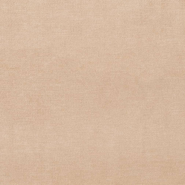D3860 by Charlotte Designer Fabric Classic Velvet II 90% Polyester, 10% Nylon Asia Exceeds 240,000 Wyzenbeek Rubs (Heavy Duty) No Repeat 54 Inches - Swanky Fabrics -