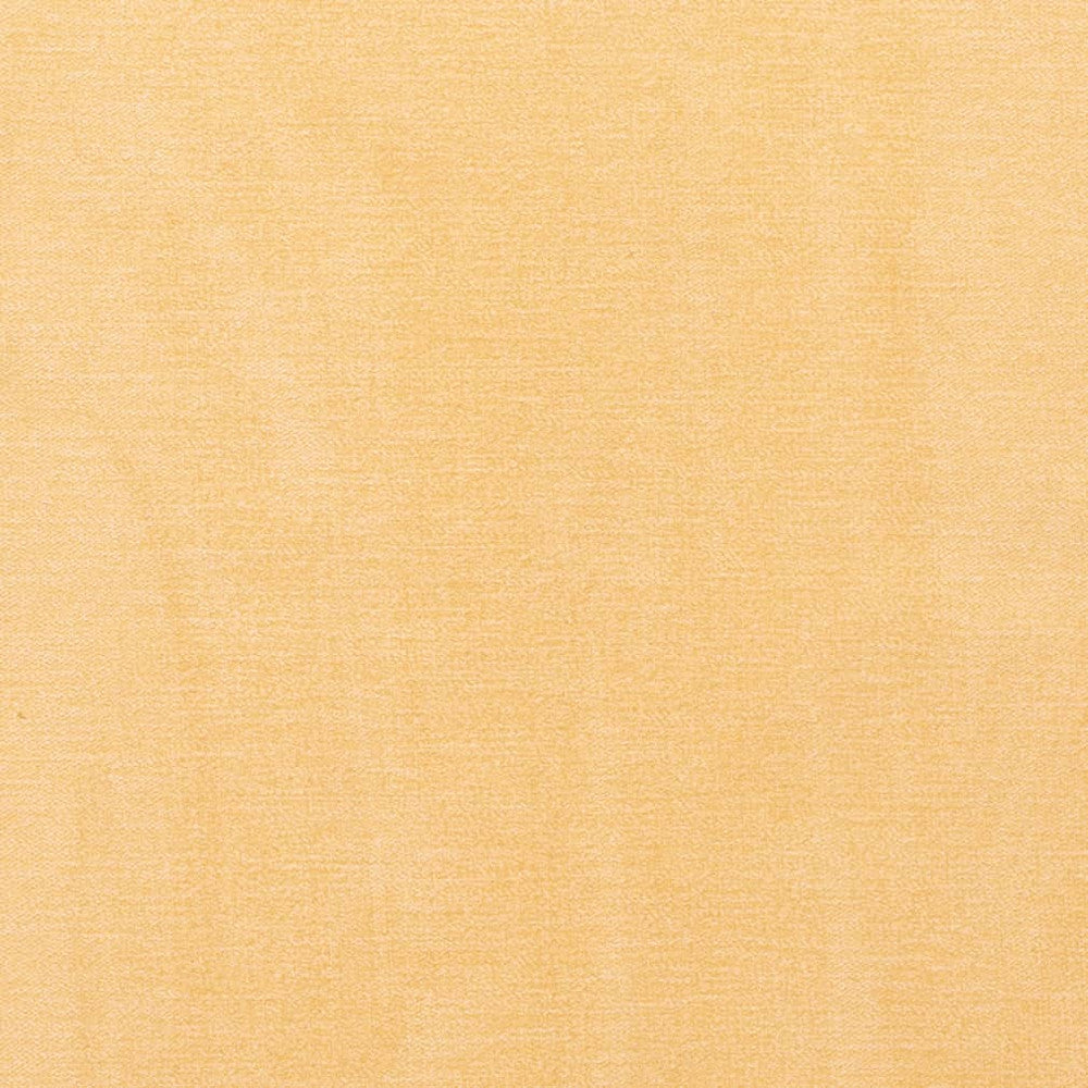 D3861 by Charlotte Designer Fabric Classic Velvet II 90% Polyester, 10% Nylon Asia Exceeds 240,000 Wyzenbeek Rubs (Heavy Duty) No Repeat 54 Inches - Swanky Fabrics -