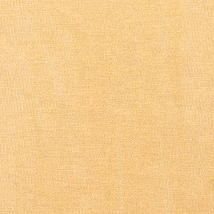 D3861 by Charlotte Designer Fabric Classic Velvet II 90% Polyester, 10% Nylon Asia Exceeds 240,000 Wyzenbeek Rubs (Heavy Duty) No Repeat 54 Inches - Swanky Fabrics -