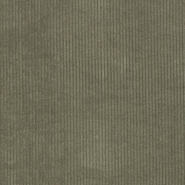 D3869 by Charlotte Designer Fabric Ridges 92% Polyester, 8% Acrylic Asia Exceeds 100,000 Wyzenbeek Rubs (Heavy Duty) No Repeat 54 Inches - Swanky Fabrics -