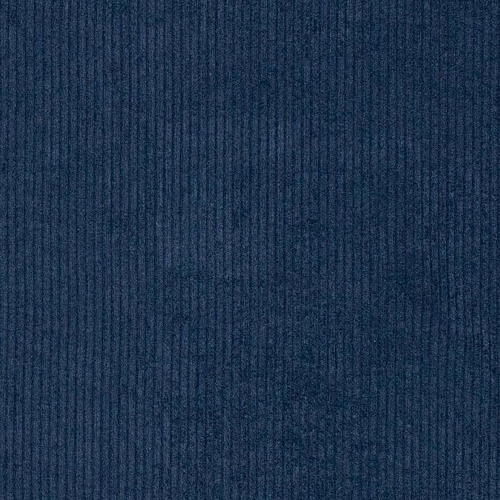 D3874 by Charlotte Designer Fabric Ridges 92% Polyester, 8% Acrylic Asia Exceeds 100,000 Wyzenbeek Rubs (Heavy Duty) No Repeat 54 Inches - Swanky Fabrics -