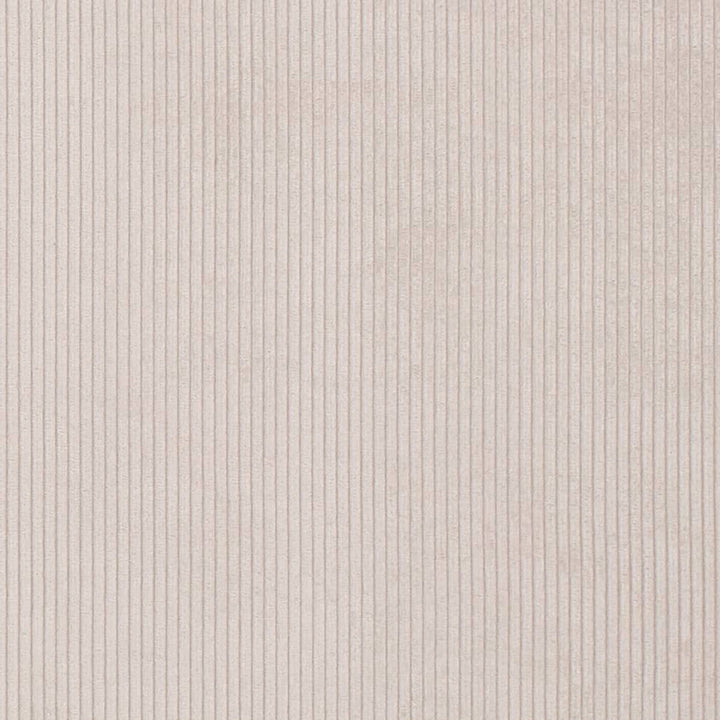 D3876 by Charlotte Designer Fabric Ridges 92% Polyester, 8% Acrylic Asia Exceeds 100,000 Wyzenbeek Rubs (Heavy Duty) No Repeat 54 Inches - Swanky Fabrics -