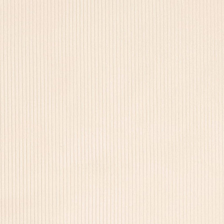 D3880 by Charlotte Designer Fabric Ridges 92% Polyester, 8% Acrylic Asia Exceeds 100,000 Wyzenbeek Rubs (Heavy Duty) No Repeat 54 Inches - Swanky Fabrics -