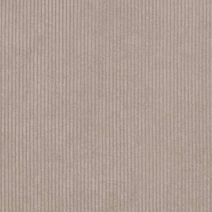 D3881 by Charlotte Designer Fabric Ridges 92% Polyester, 8% Acrylic Asia Exceeds 100,000 Wyzenbeek Rubs (Heavy Duty) No Repeat 54 Inches - Swanky Fabrics -