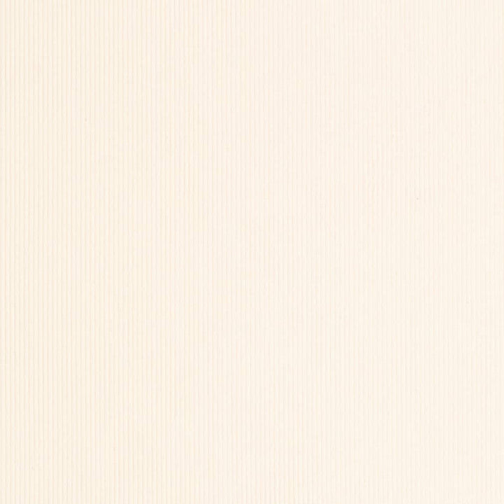 D3885 by Charlotte Designer Fabric Ridges 90% Polyester, 10% Nylon Asia Exceeds 300,000 Wyzenbeek Rubs (Heavy Duty) No Repeat 54 Inches - Swanky Fabrics -