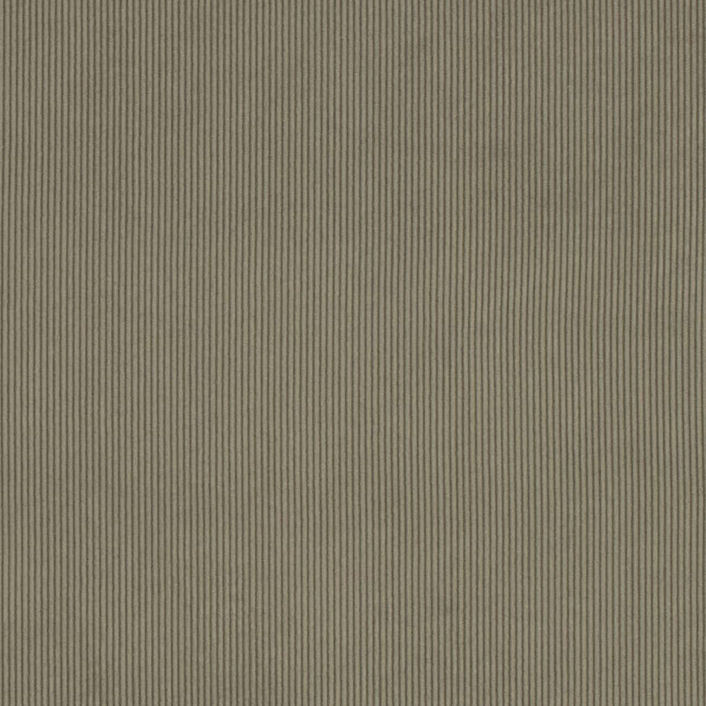 D3887 by Charlotte Designer Fabric Ridges 90% Polyester, 10% Nylon Asia Exceeds 300,000 Wyzenbeek Rubs (Heavy Duty) No Repeat 54 Inches - Swanky Fabrics -