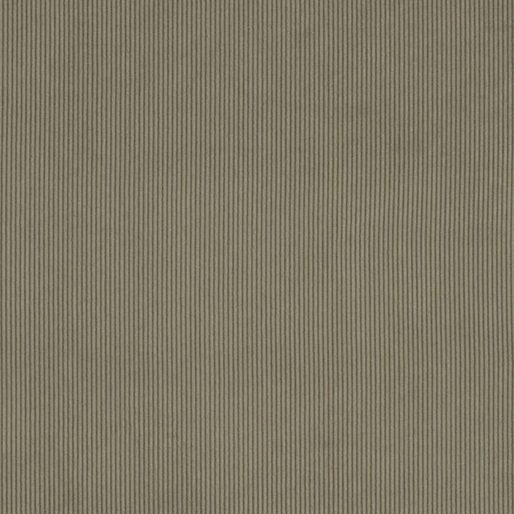 D3887 by Charlotte Designer Fabric Ridges 90% Polyester, 10% Nylon Asia Exceeds 300,000 Wyzenbeek Rubs (Heavy Duty) No Repeat 54 Inches - Swanky Fabrics -