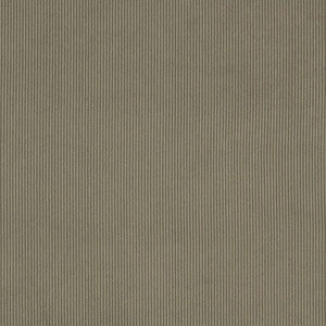 Charlotte Fabric D3887