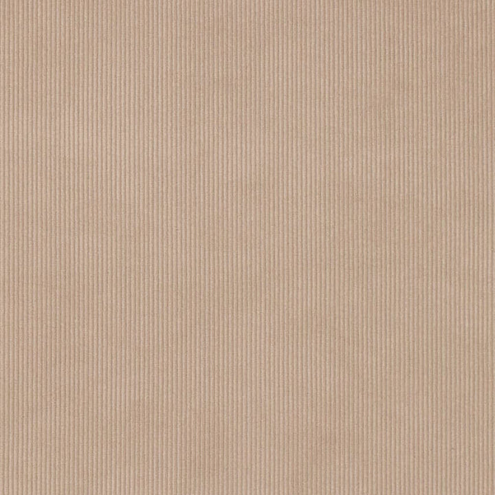 D3895 by Charlotte Designer Fabric Ridges 90% Polyester, 10% Nylon Asia Exceeds 300,000 Wyzenbeek Rubs (Heavy Duty) No Repeat 54 Inches - Swanky Fabrics -