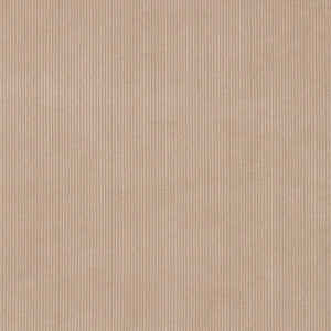 Charlotte Fabric D3895