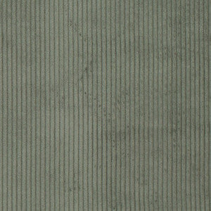 Charlotte Fabric D3898